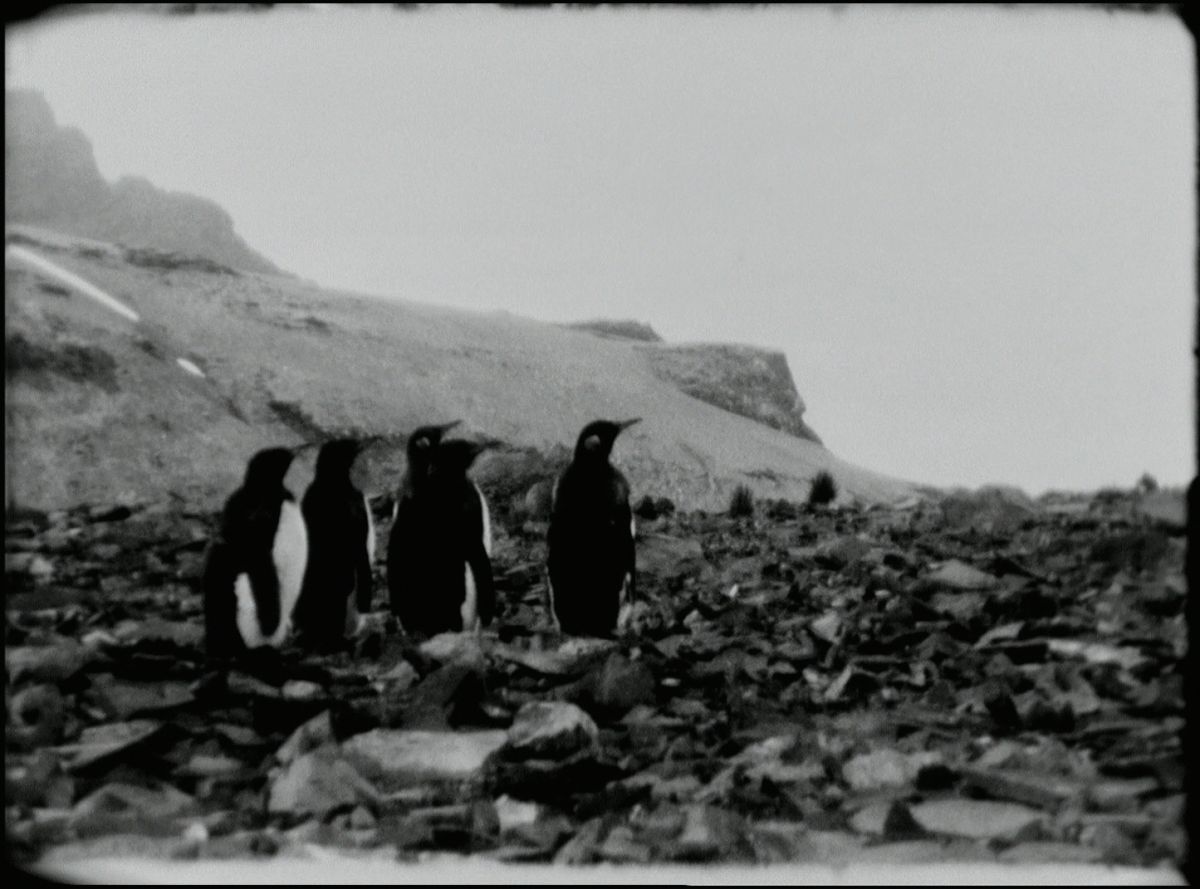 Jóhann Jóhannsson, End of Summer, 2014.