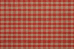 Hildur Bjarnadóttir, Gingham, Cadmium Red, 2011.