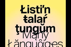 Many Languages of Art: Gallery Talk in Lithuanian