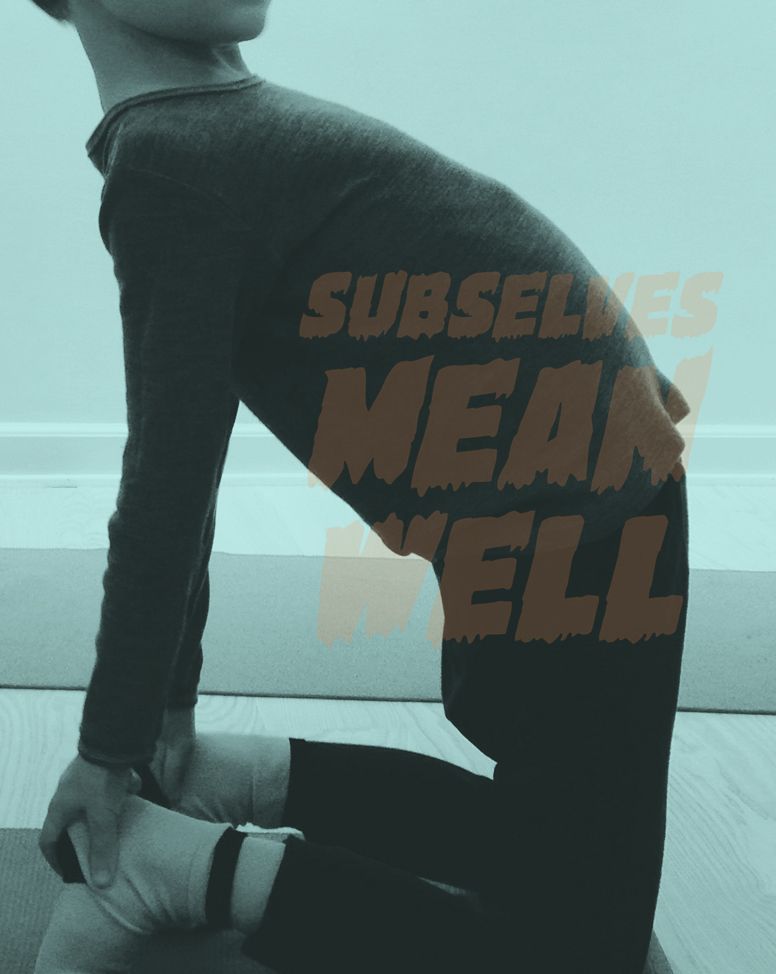 Subselves Mean Well